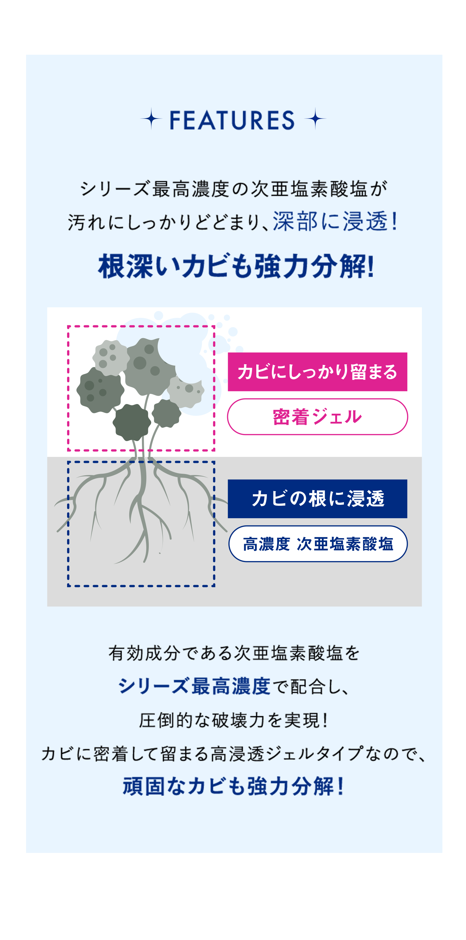 カビの根おの奥深くから浸透除去！