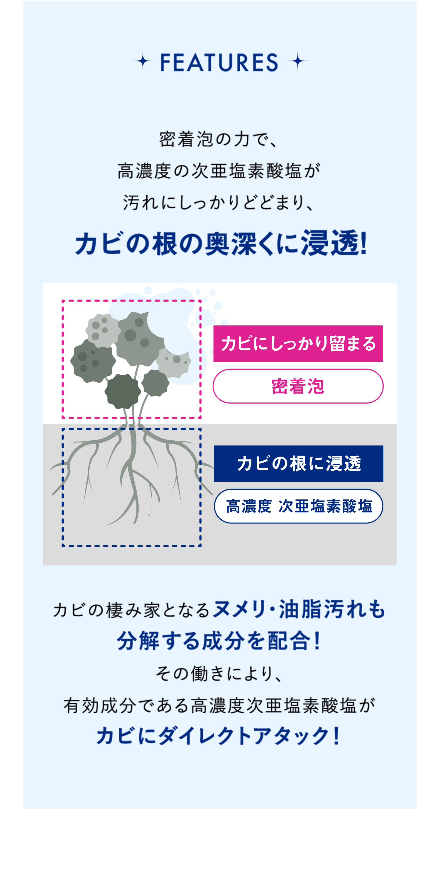 カビの根おの奥深くから浸透除去！