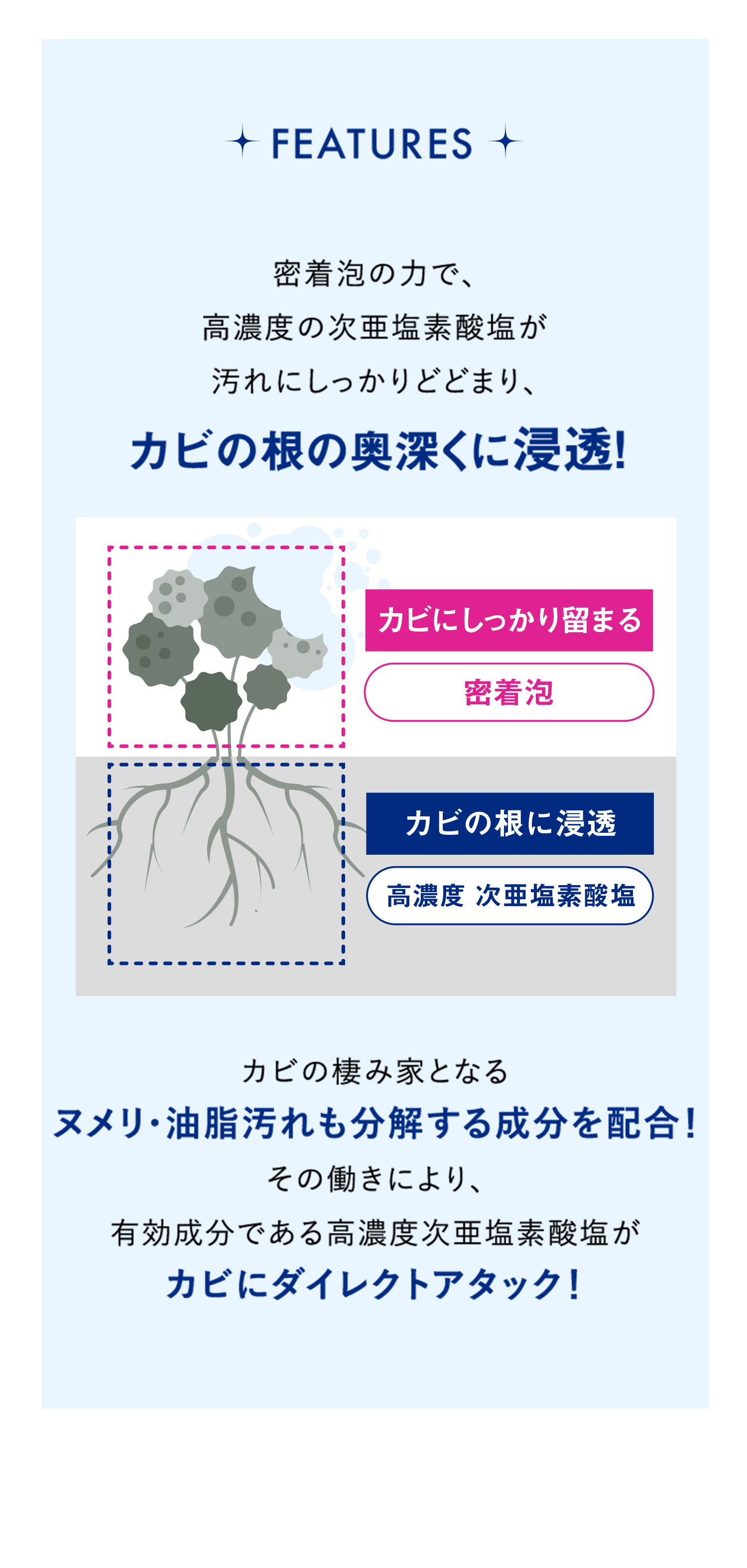 カビの根おの奥深くから浸透除去！