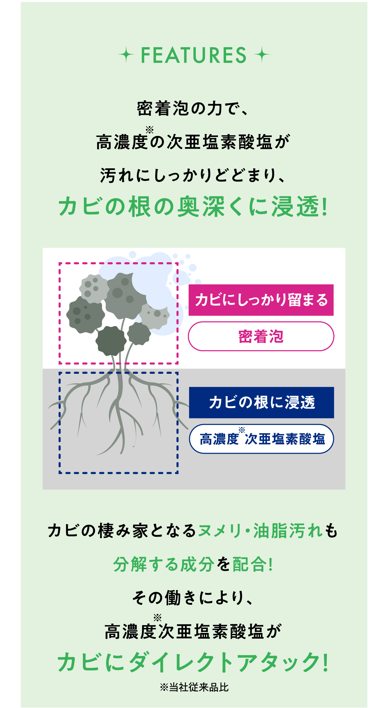 最新科学技術から誕生！進化したカビ洗浄剤　高密着✕油脂分解✕高密度のトリプルパワー！